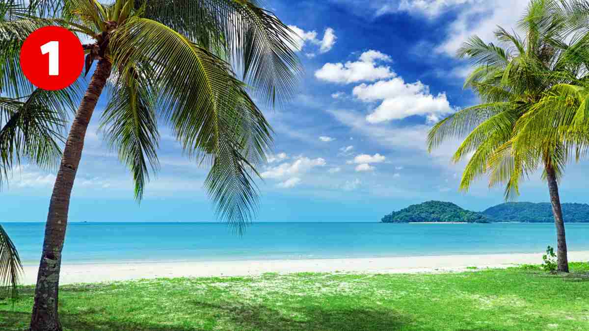 personality test Beach 1 Image